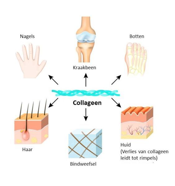 Collagen deficiency? The 6 causes of collagen deficiency - Skin for Skin